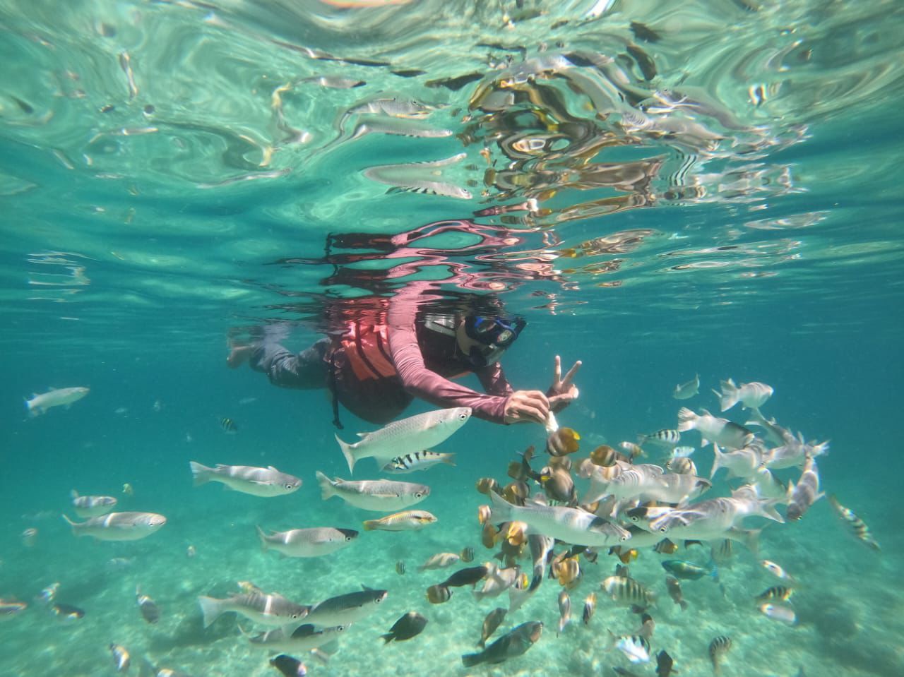 Snorkeling with tropical fish